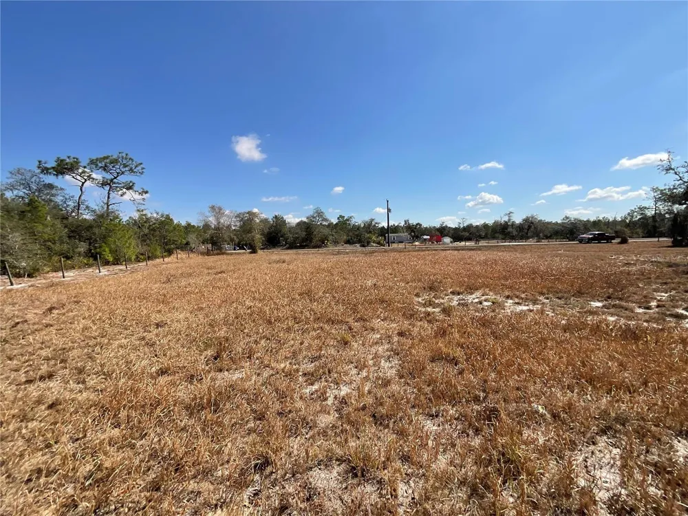 490 HOBBS DRIVE Venus, FL 33960