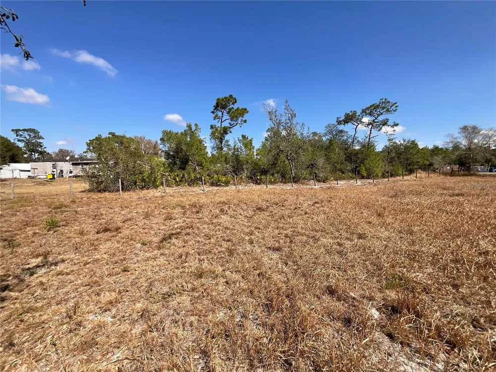 490 HOBBS DRIVE Venus, FL 33960