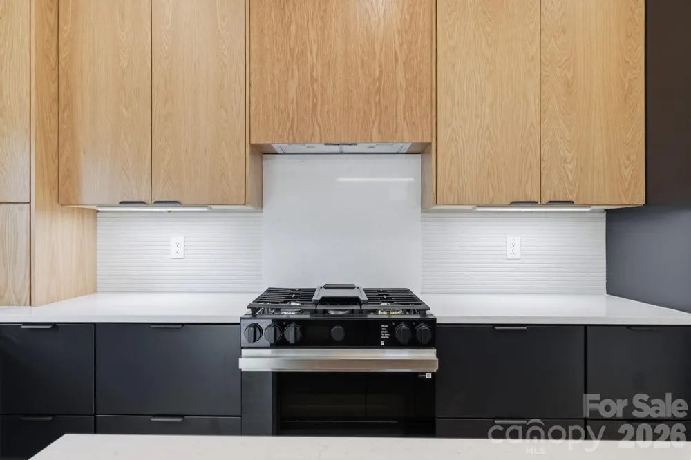 45 Johnson Drive #4 Asheville, NC 28804