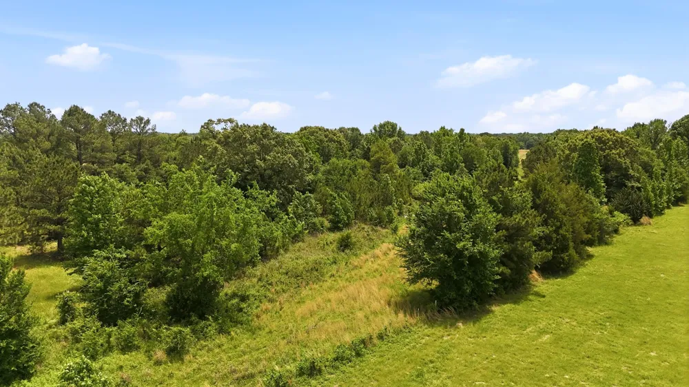 368 County Road 4960 Quitman, TX 75783