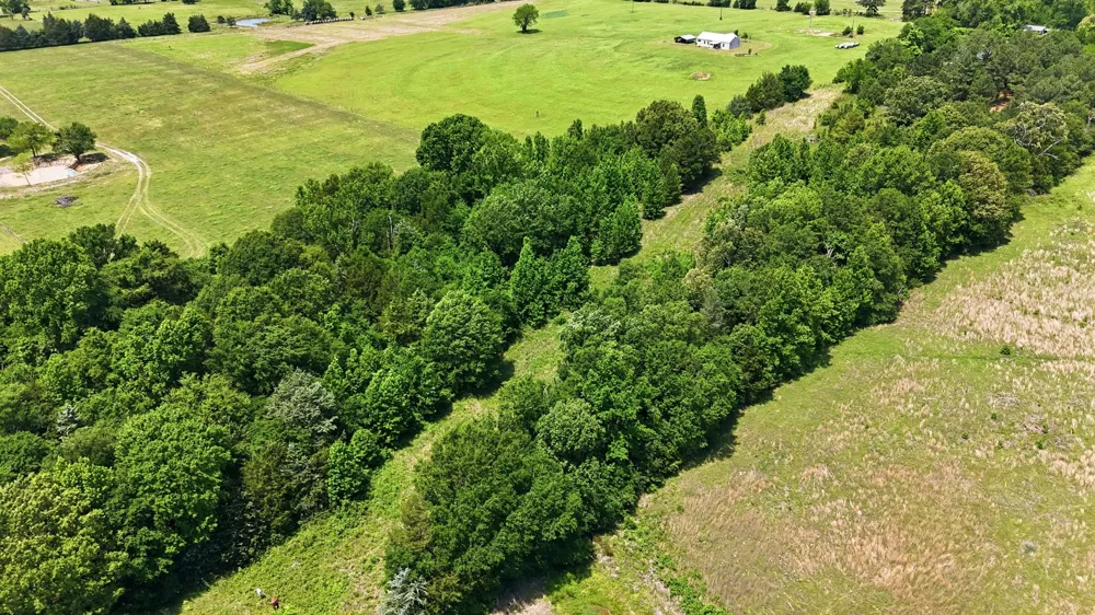 368 County Road 4960 Quitman, TX 75783