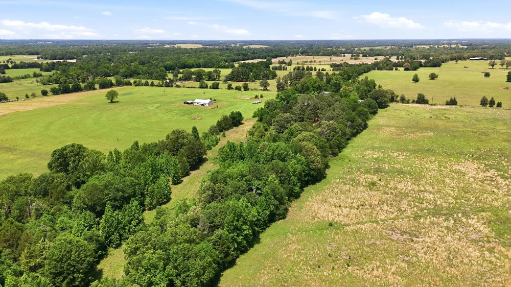 368 County Road 4960 Quitman, TX 75783