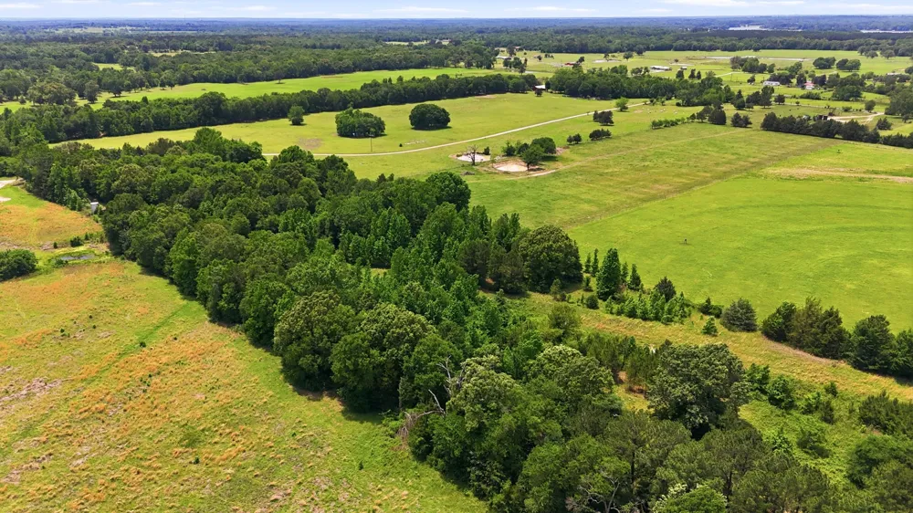 368 County Road 4960 Quitman, TX 75783