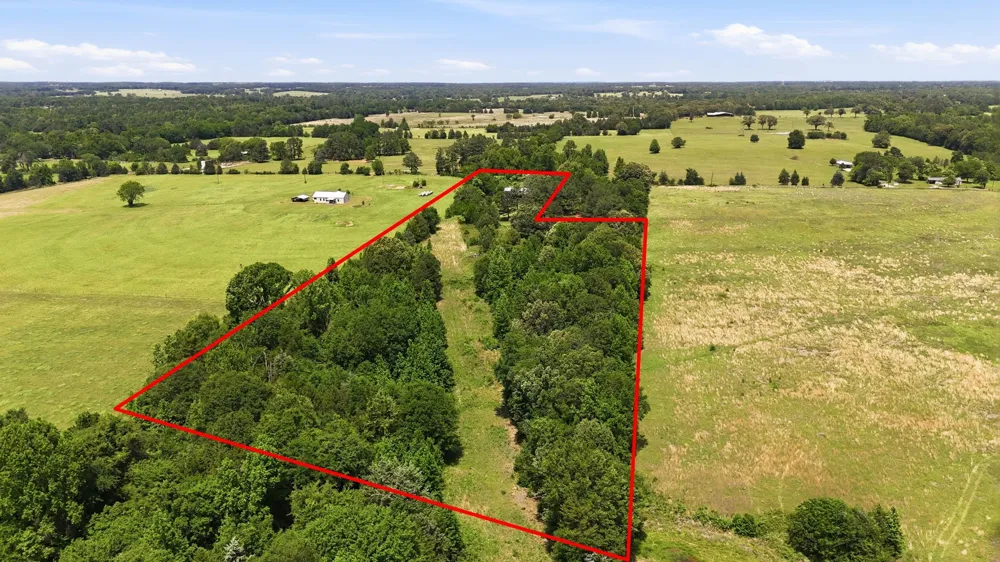 368 County Road 4960 Quitman, TX 75783