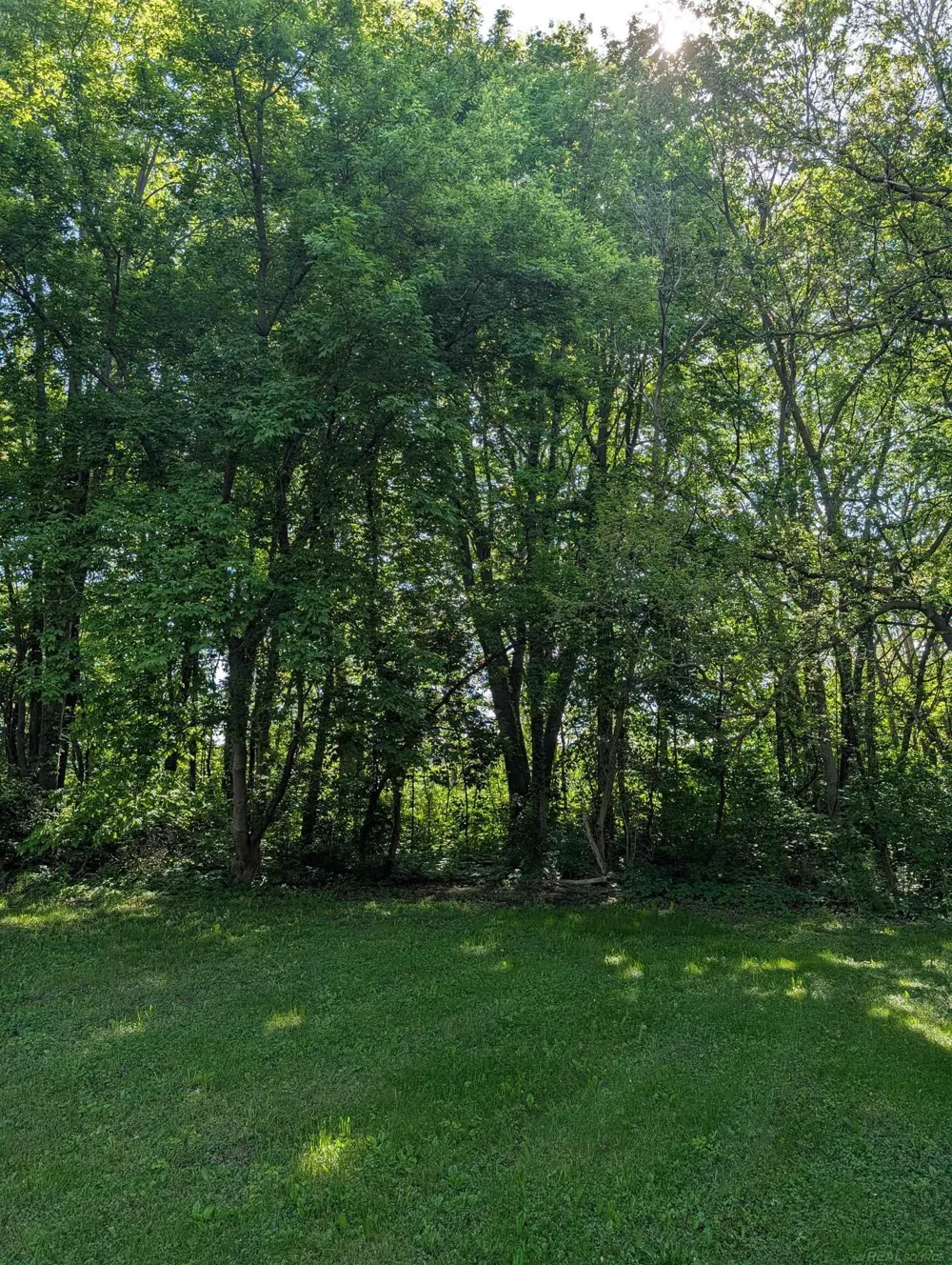50730 Fairchild Road Chesterfield Township, MI 48051