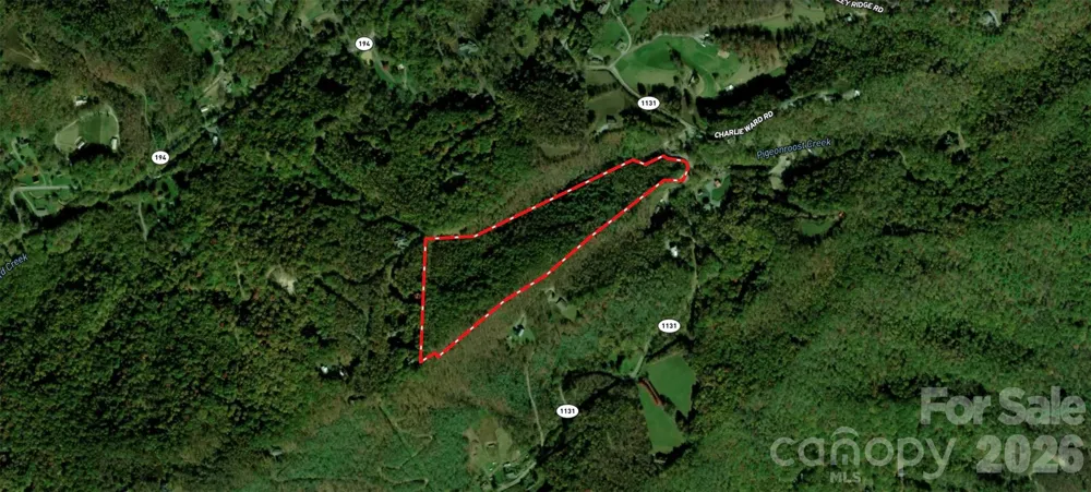 701 Pigeon Roost Road Banner Elk, NC 28604