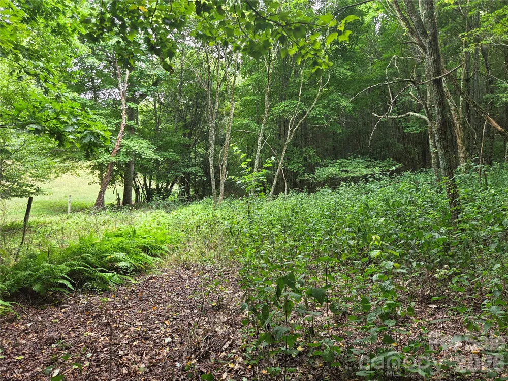 701 Pigeon Roost Road Banner Elk, NC 28604