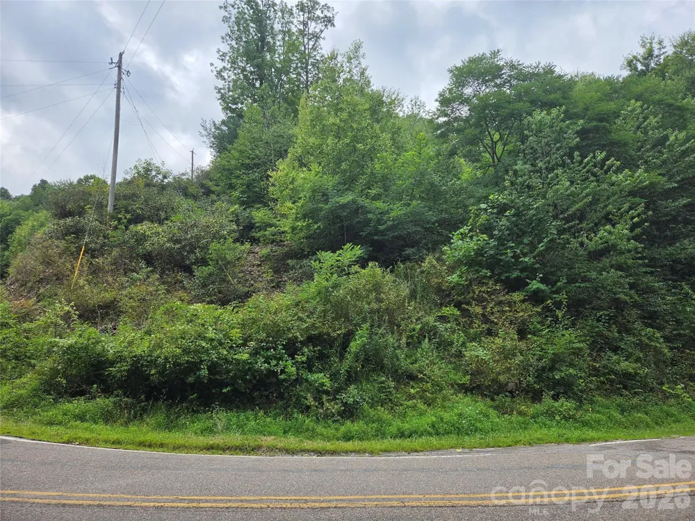 701 Pigeon Roost Road Banner Elk, NC 28604