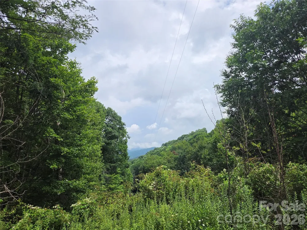 701 Pigeon Roost Road Banner Elk, NC 28604