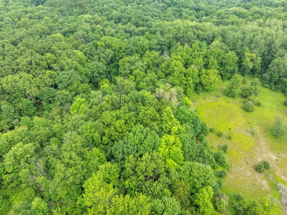 13283 Beckwith Drive NE Lowell, MI 49331