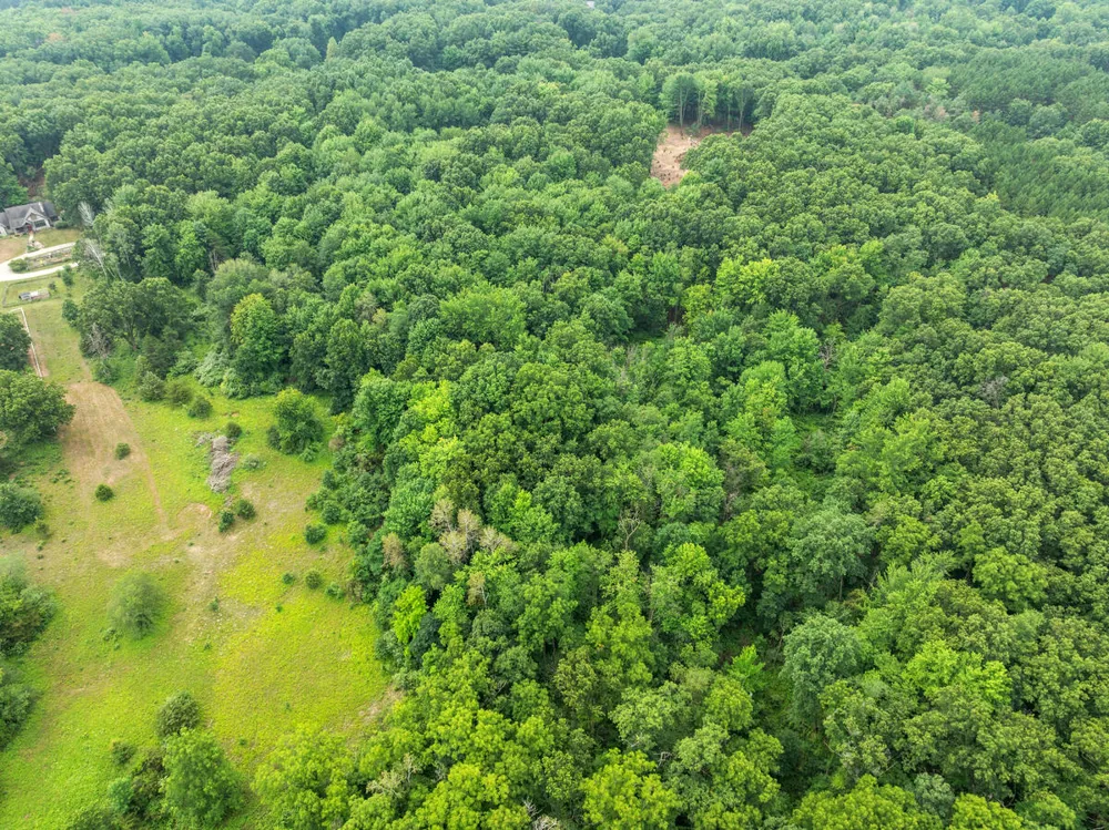 13283 Beckwith Drive NE Lowell, MI 49331