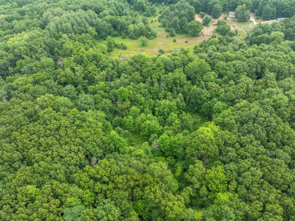13283 Beckwith Drive NE Lowell, MI 49331