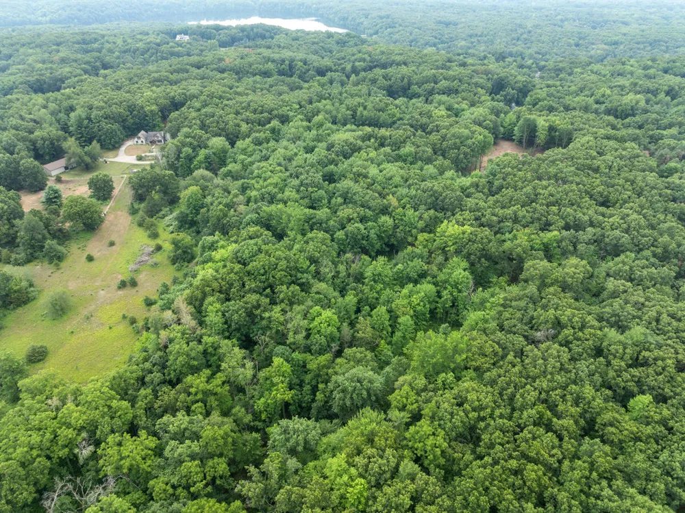 13283 Beckwith Drive NE Lowell, MI 49331