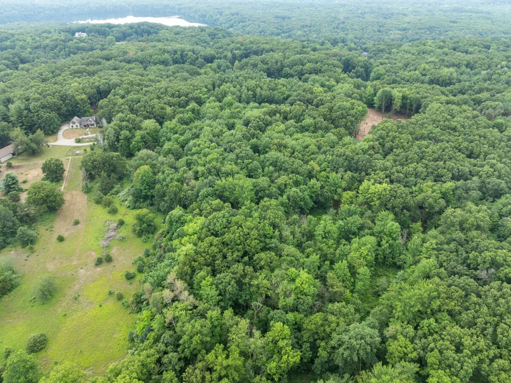 13283 Beckwith Drive NE Lowell, MI 49331