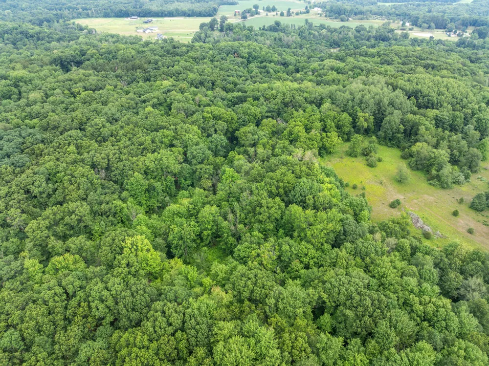 13283 Beckwith Drive NE Lowell, MI 49331