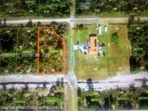 Bougainvillea Drive Lake Wales, FL 33898