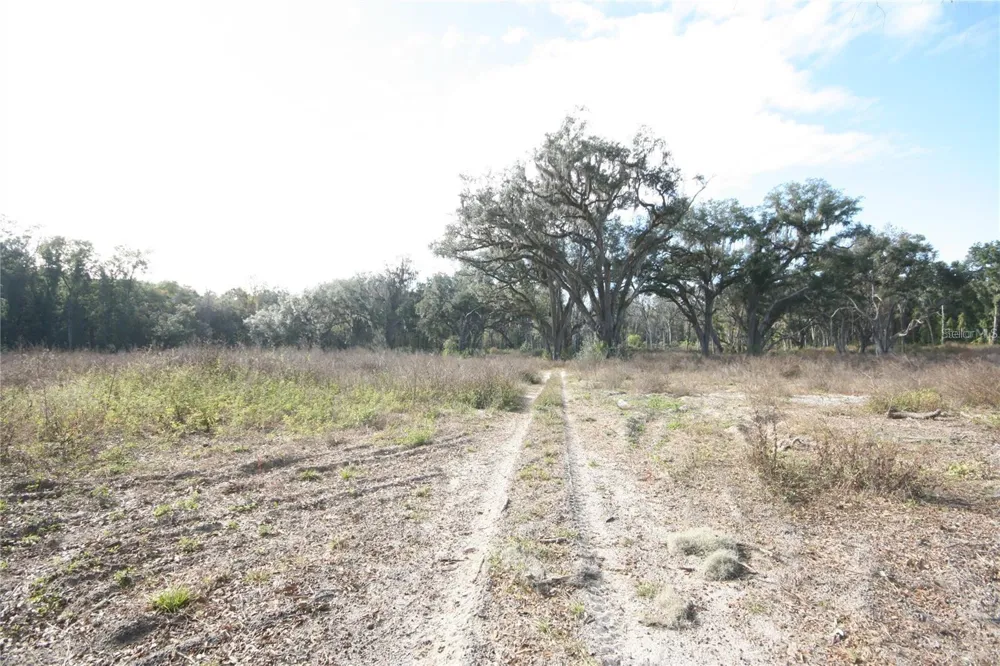 US HWY 301-12 ACRES Citra, FL 32113