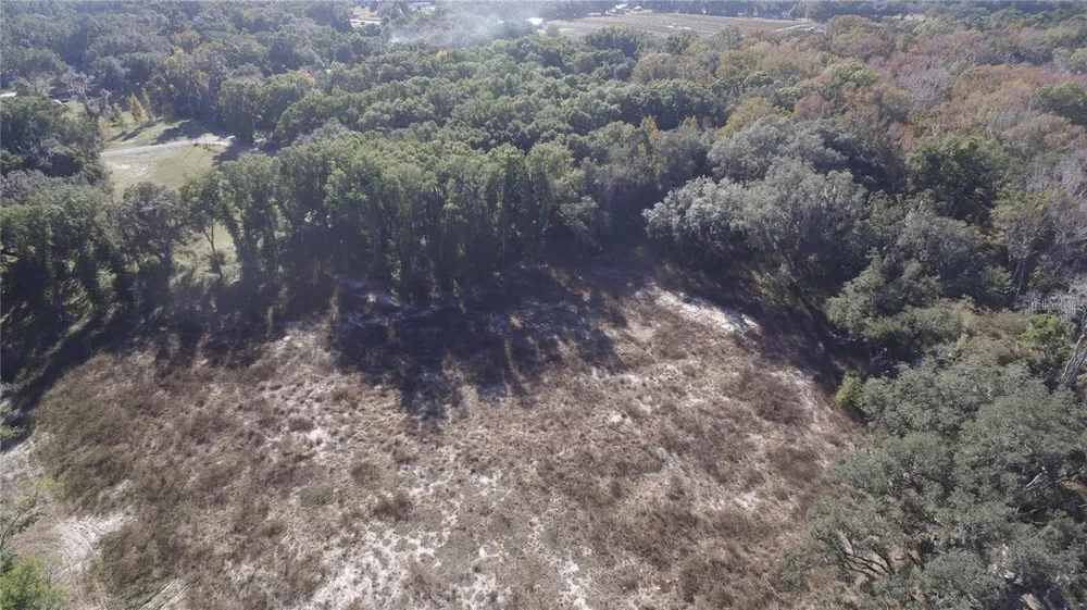 US HWY 301-12 ACRES Citra, FL 32113