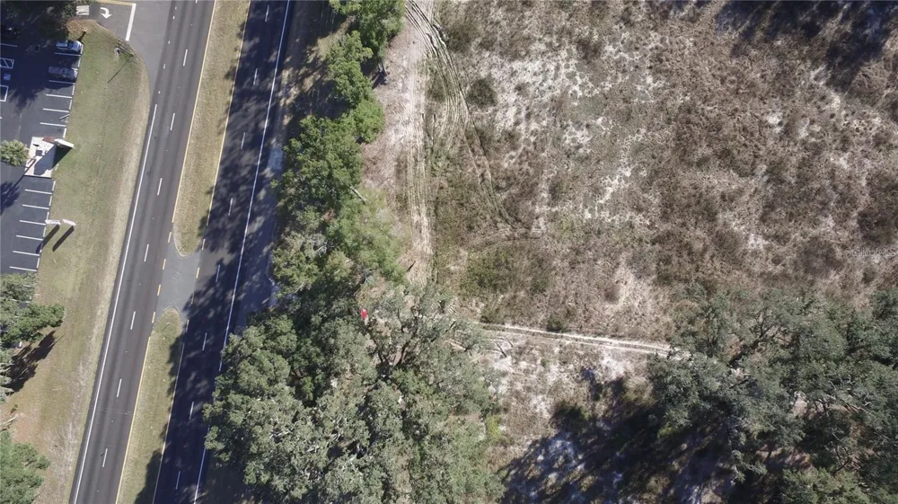 US HWY 301-12 ACRES Citra, FL 32113