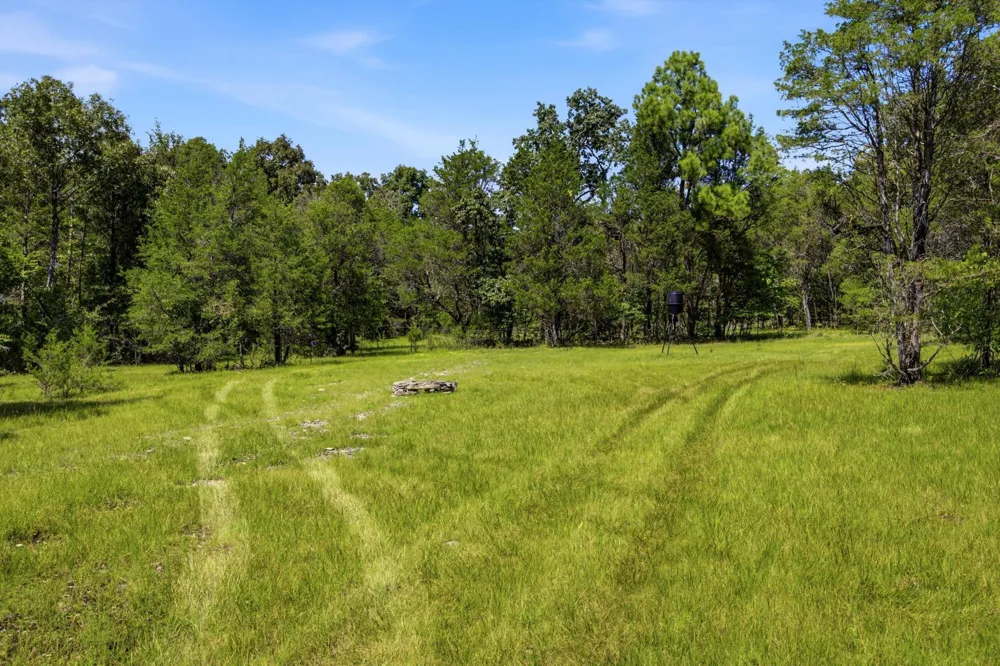 965 Lofton Lane Chickamauga, GA 30707