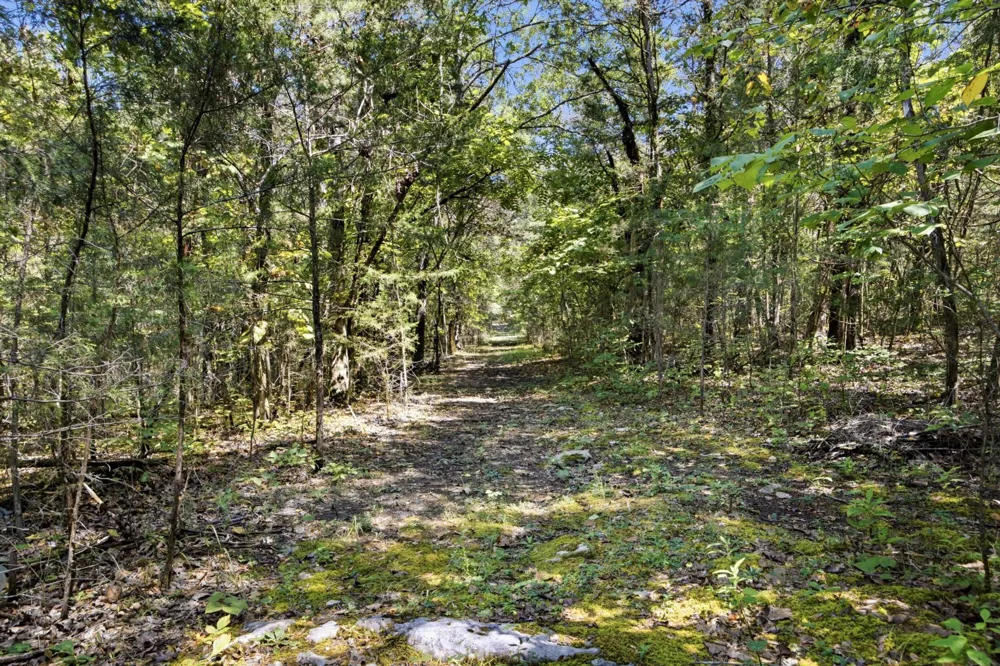 965 Lofton Lane Chickamauga, GA 30707