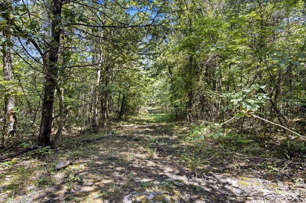 965 Lofton Lane Chickamauga, GA 30707