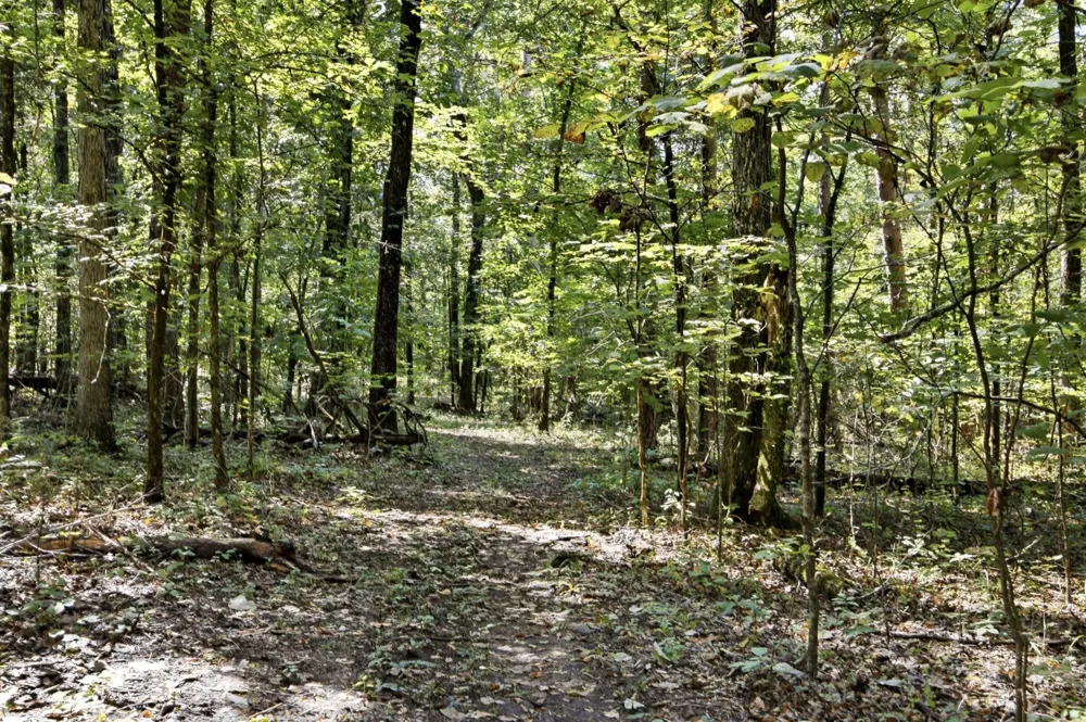 965 Lofton Lane Chickamauga, GA 30707