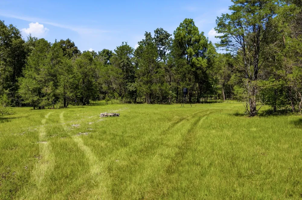 965 Lofton Lane Chickamauga, GA 30707
