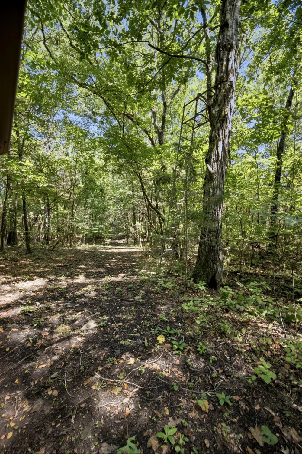 965 Lofton Lane Chickamauga, GA 30707