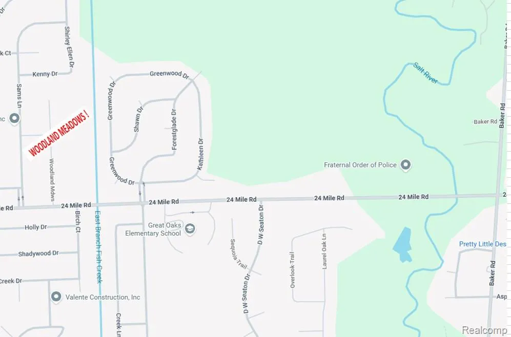 53188 Woodland Meadows Drive Chesterfield Township, MI 48047
