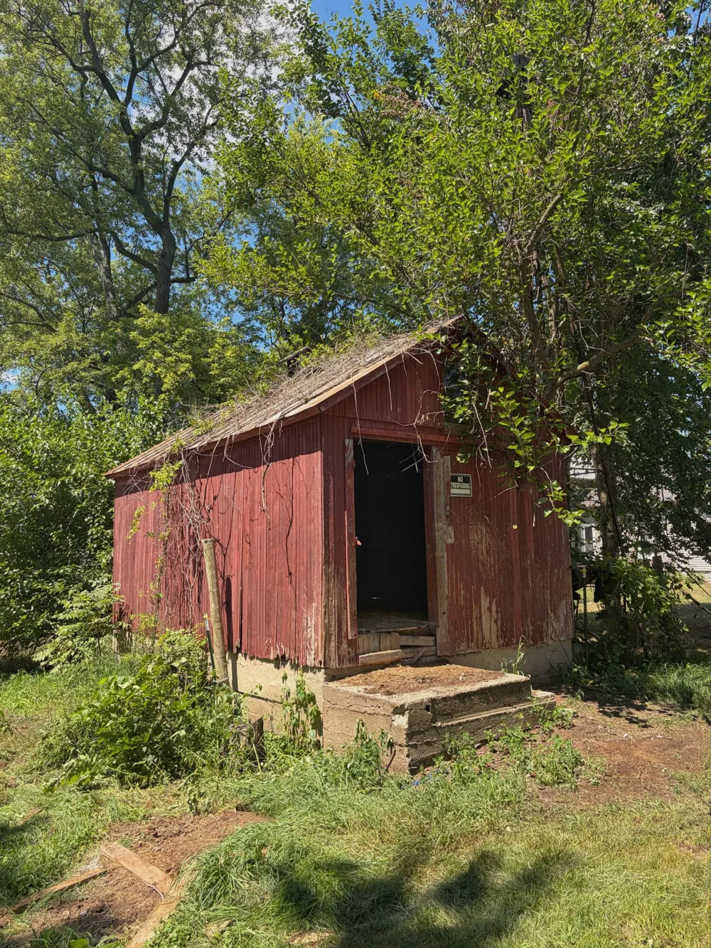 6331 Steamburg Road Cambria Township, MI 49242