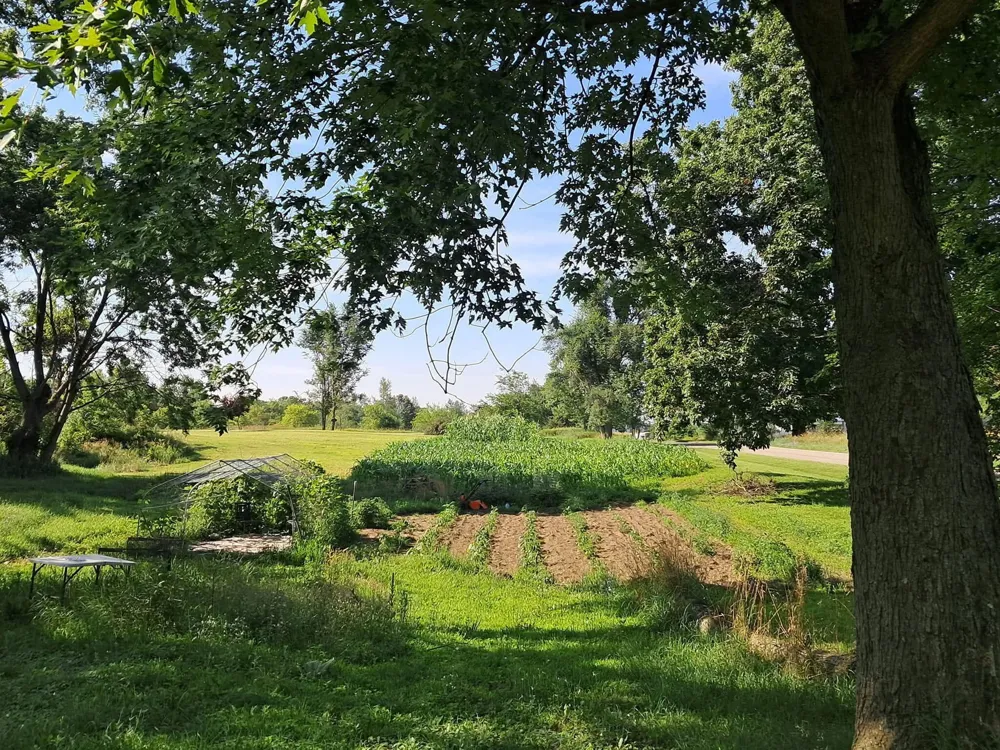 6331 Steamburg Road Cambria Township, MI 49242