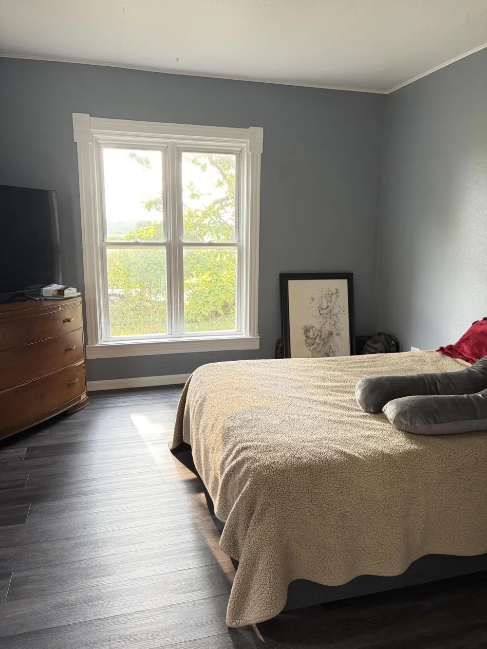 6331 Steamburg Road Cambria Township, MI 49242