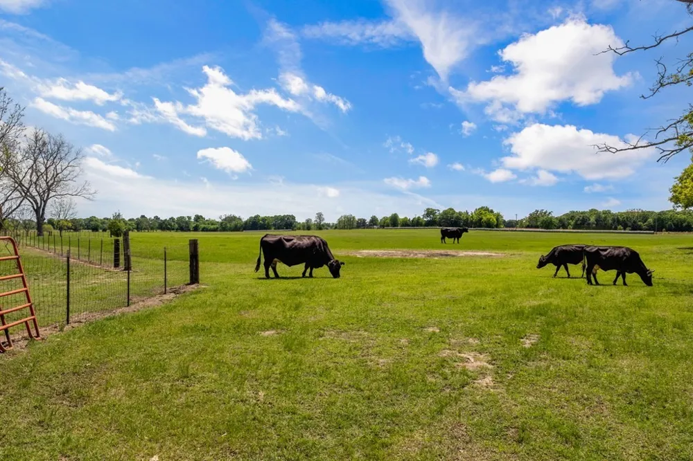290 Vz County Road 3222 Wills Point, TX 75169