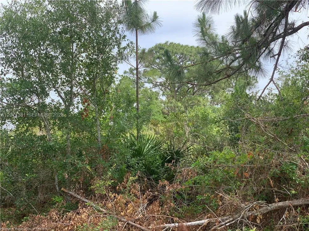 105 Citation St Lake Placid, FL 33852