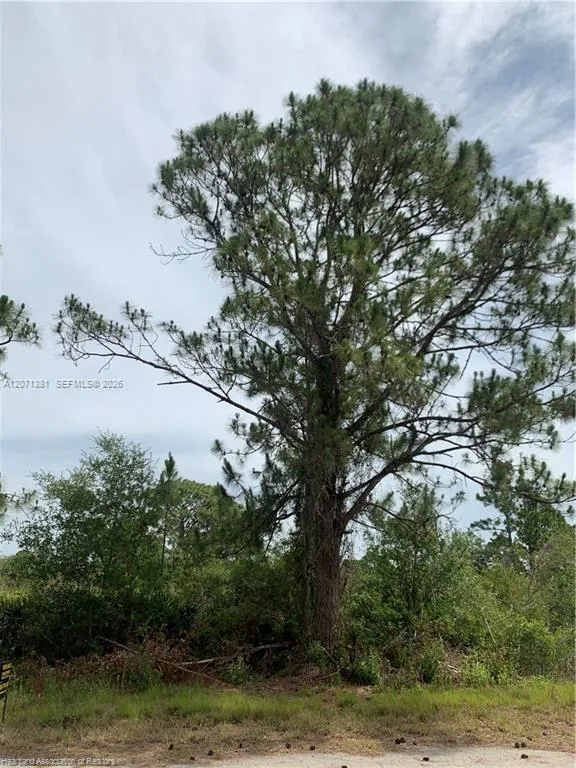 105 Citation St Lake Placid, FL 33852
