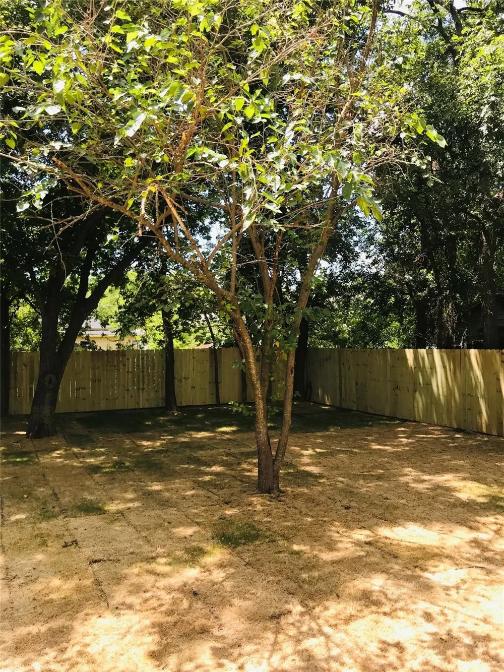 1719 Park Street Commerce, TX 75428