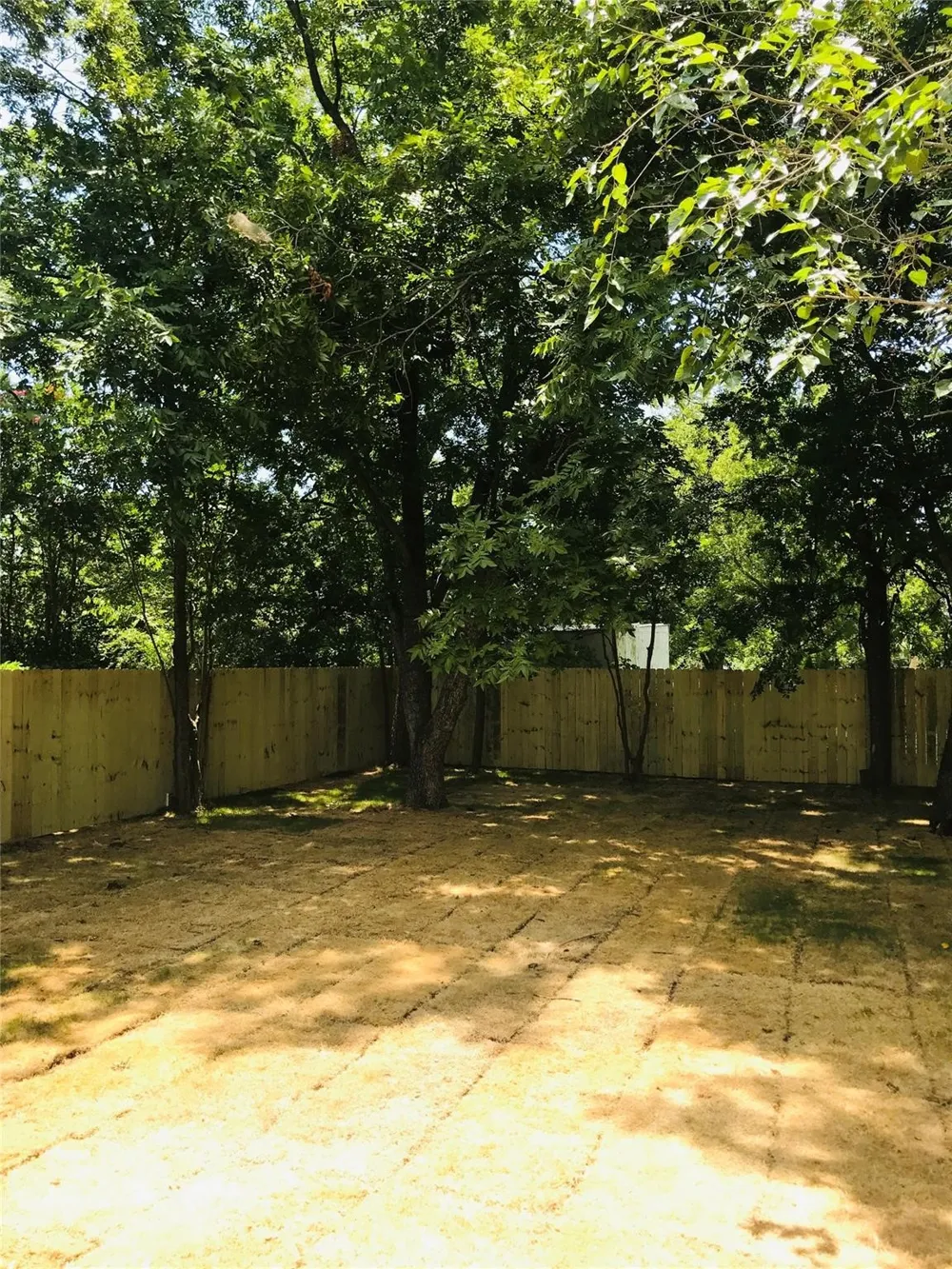1719 Park Street Commerce, TX 75428