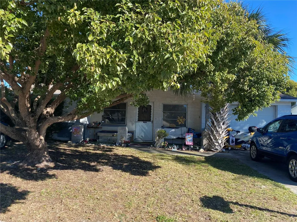 10018 CHERRY CREEK LANE Port Richey, FL 34668