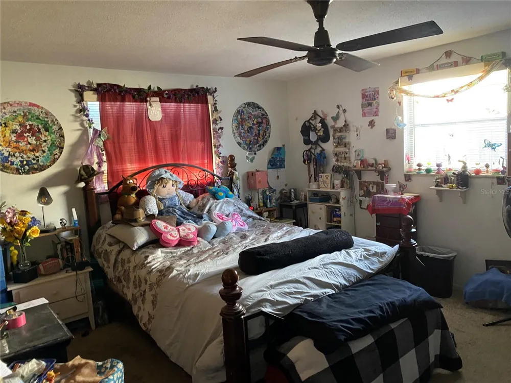 10018 CHERRY CREEK LANE Port Richey, FL 34668