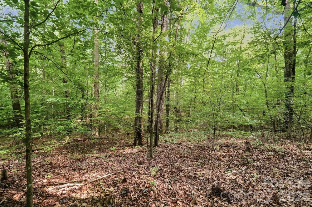 VAC Pond Road Locust, NC 28097