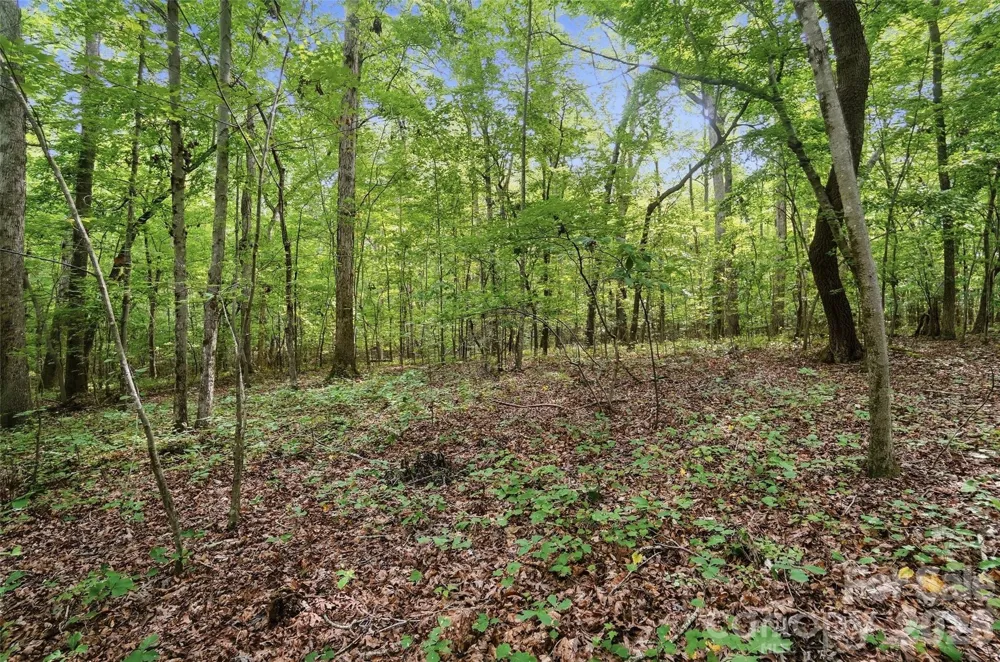VAC Pond Road Locust, NC 28097