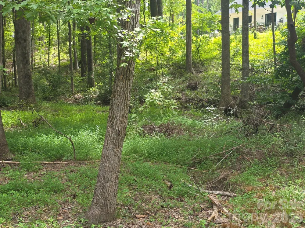 2522 Lazy Oak Drive Lancaster, SC 29720