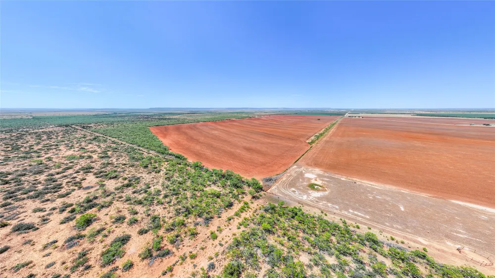 777 Noodle Dome Trent, TX 79561