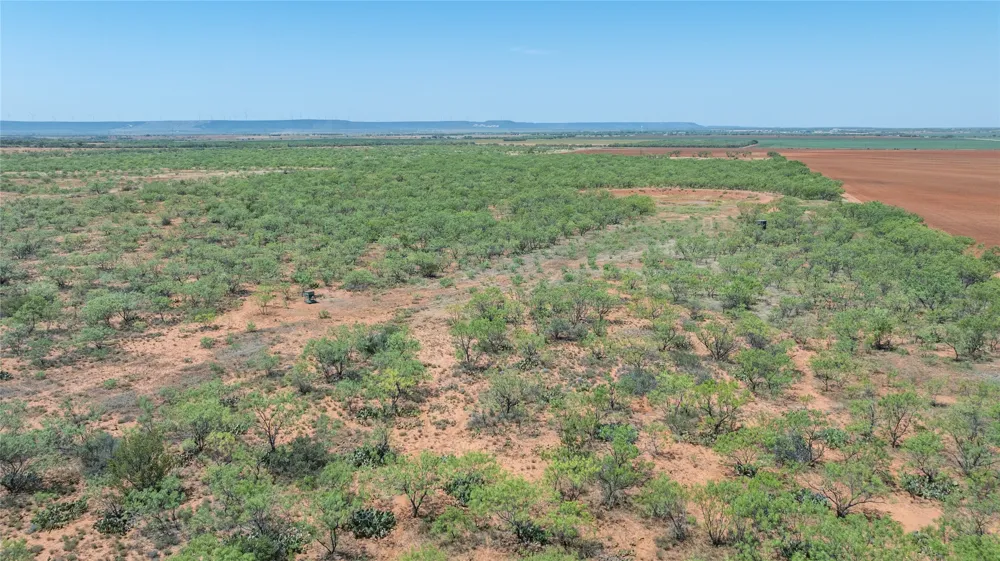 777 Noodle Dome Trent, TX 79561