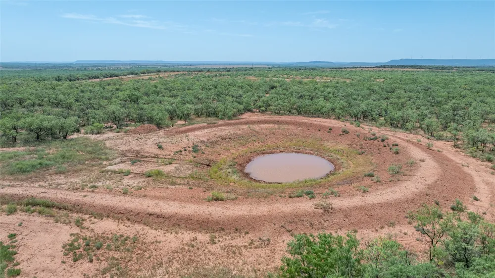 777 Noodle Dome Trent, TX 79561