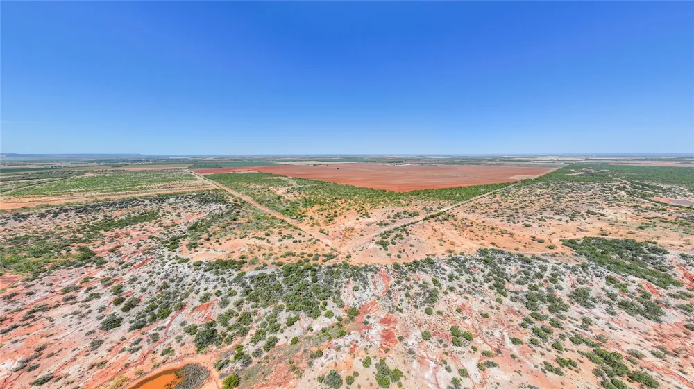 777 Noodle Dome Trent, TX 79561