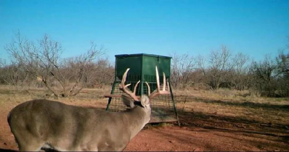 777 Noodle Dome Trent, TX 79561