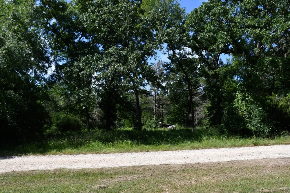14 LCR 895 Jewett, TX 75846
