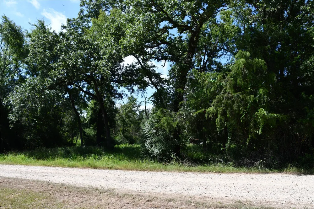 14 LCR 895 Jewett, TX 75846